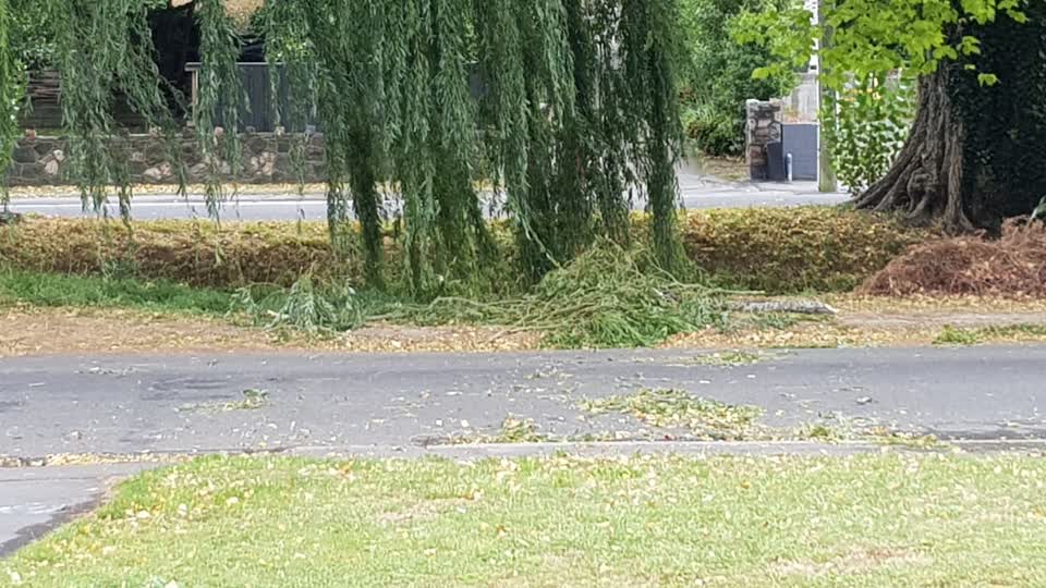 The photograph attached to this parks report