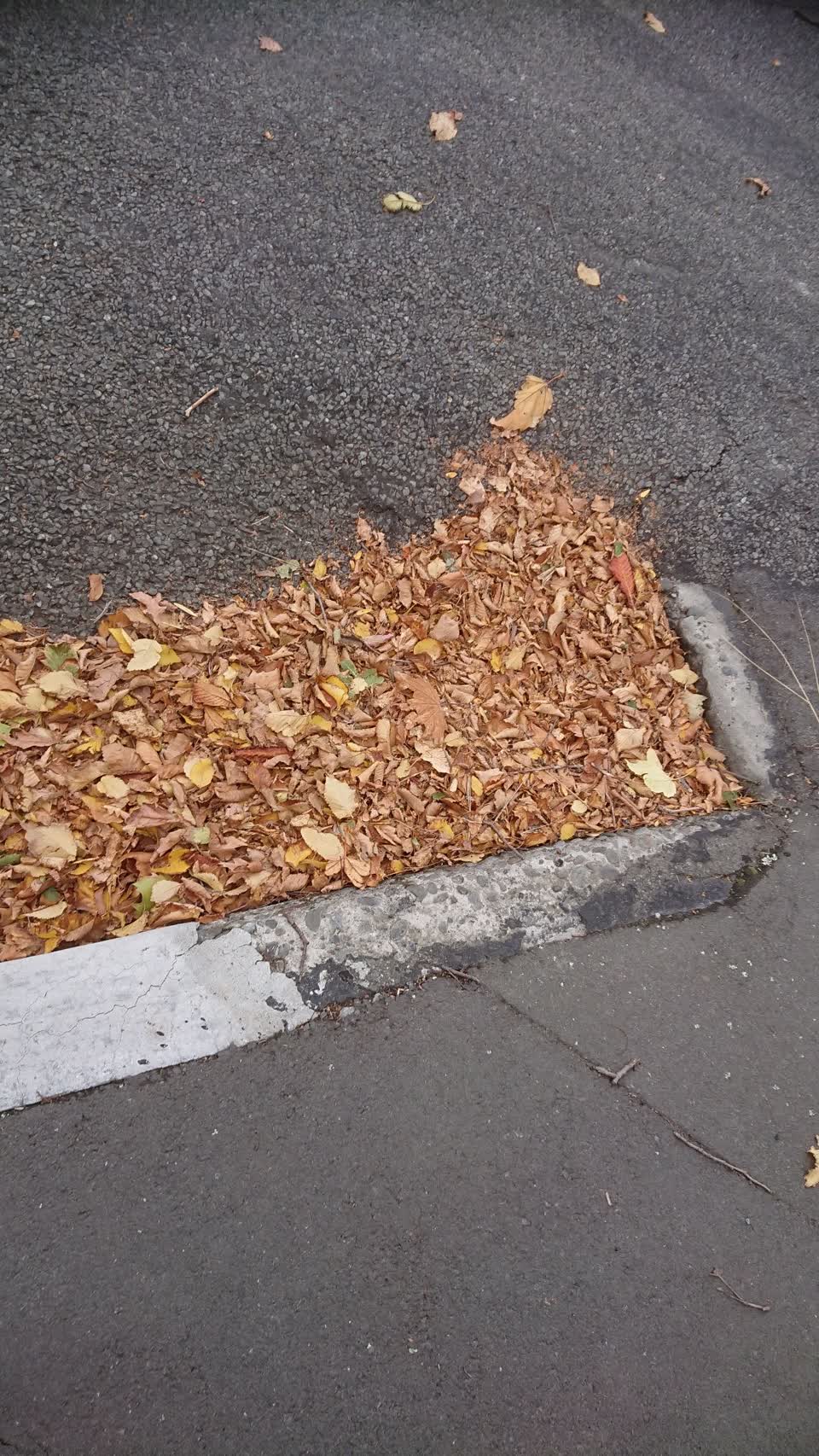 The photograph attached to this wastewater/stormwater report