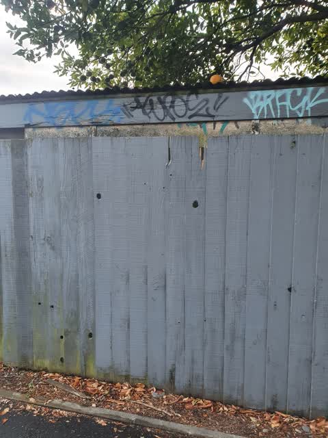 Graffiti, a report photo