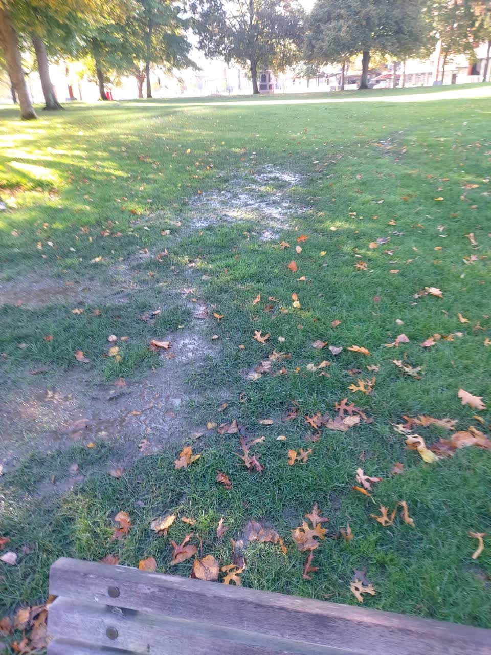 The photograph attached to this parks report