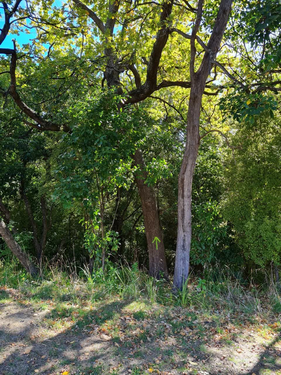 The photograph attached to this parks report