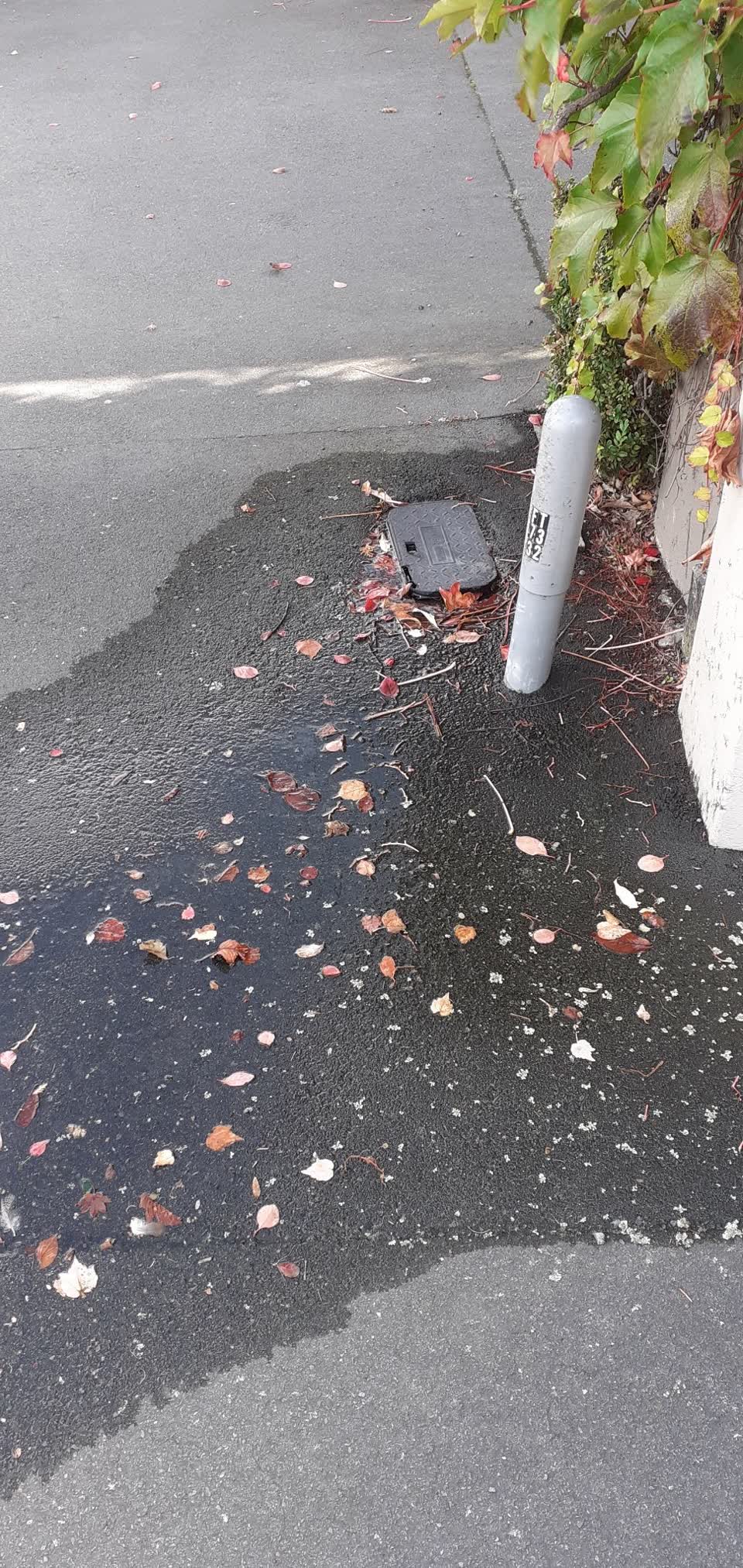 The photograph attached to this water leak report