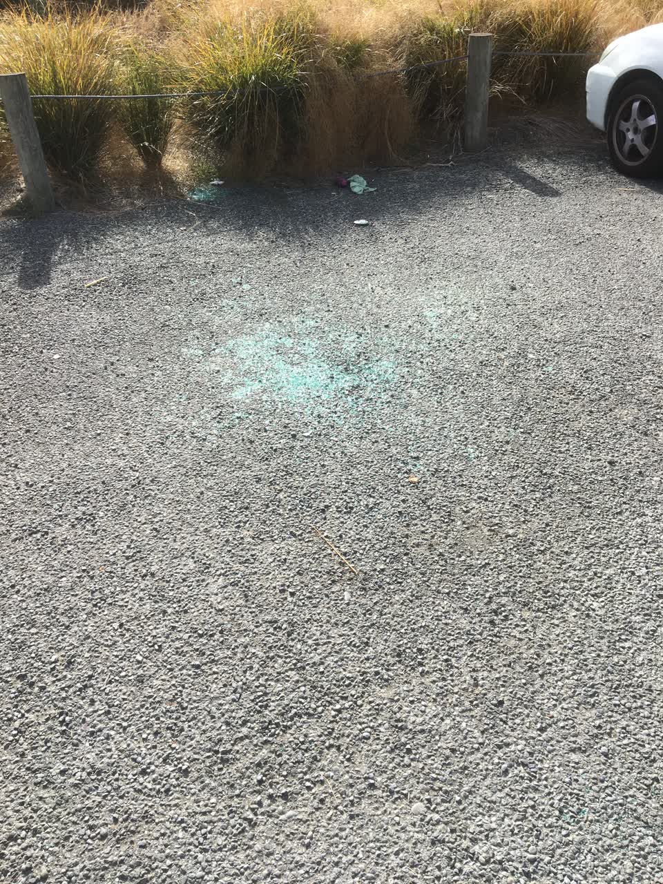 The photograph attached to this parks report