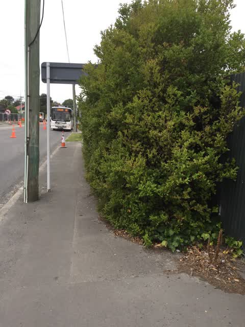 Roading/Streets, a report photo