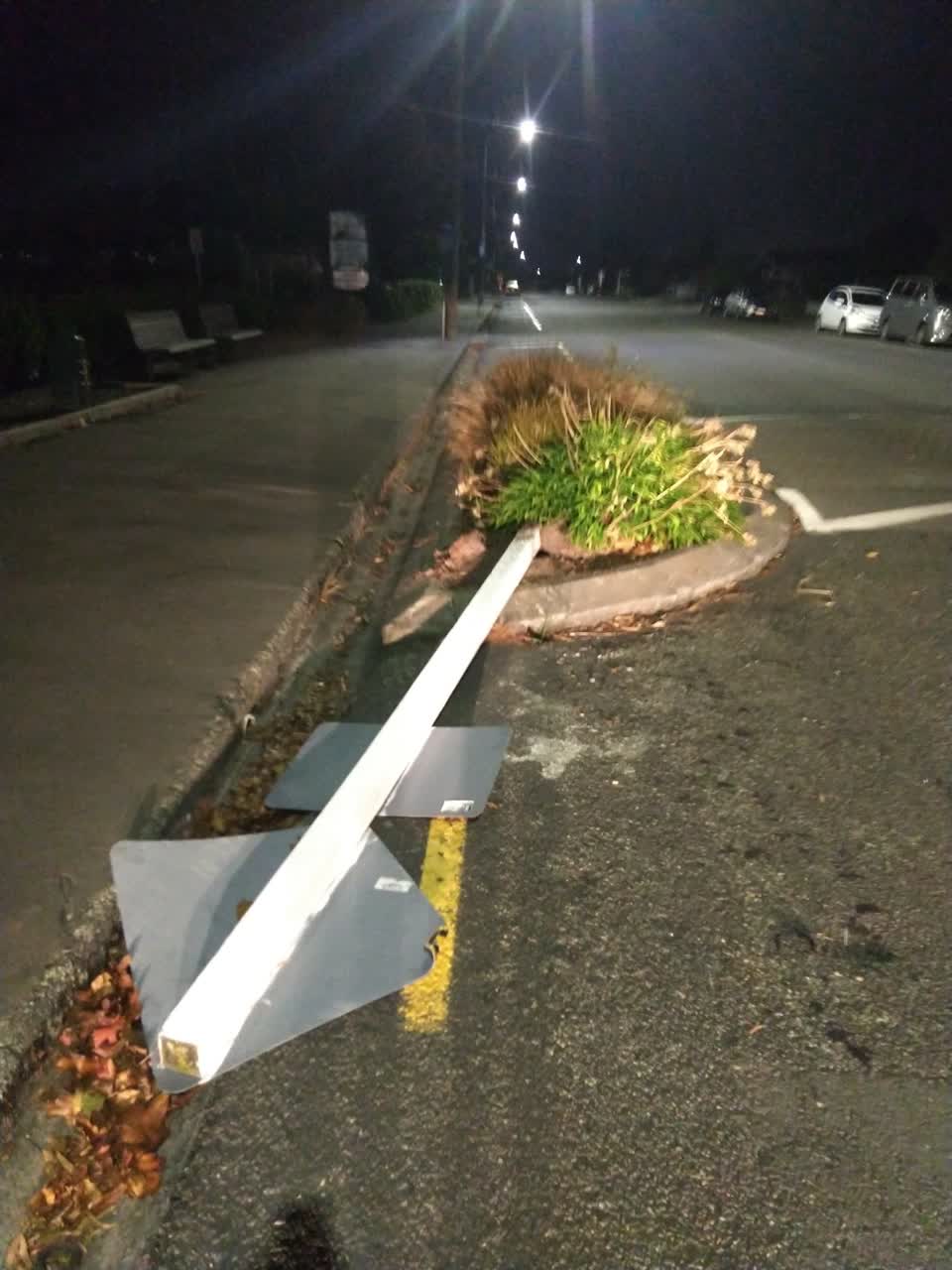 The photograph attached to this roading/streets report