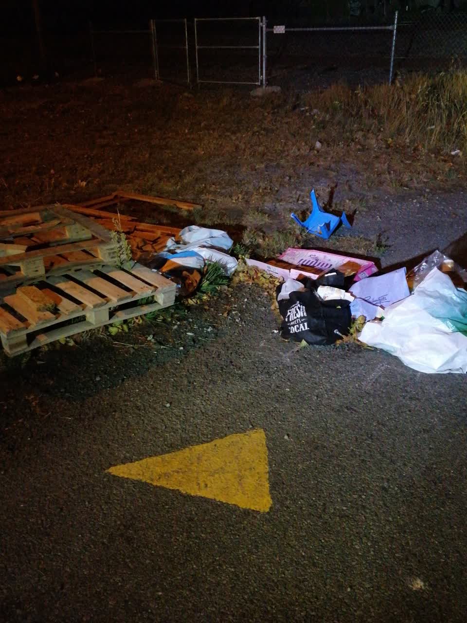 The photograph attached to this rubbish/recycling report