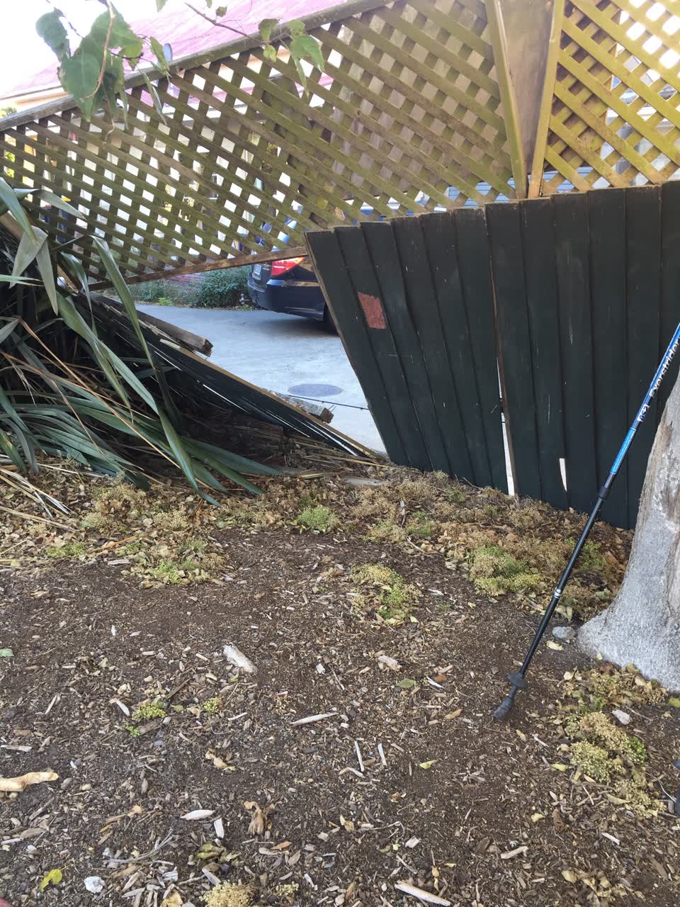 The photograph attached to this parks report