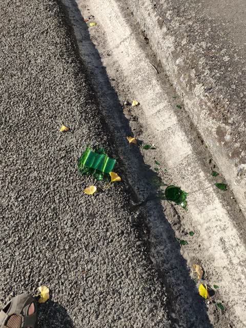 Rubbish/Recycling, a report photo