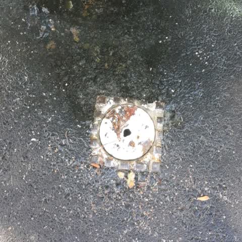 Water Leak — a report photo