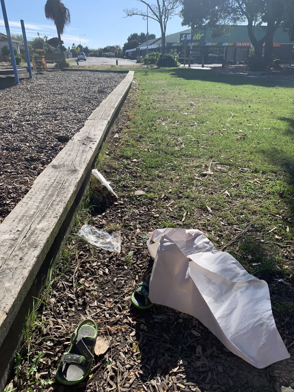 The photograph attached to this parks report