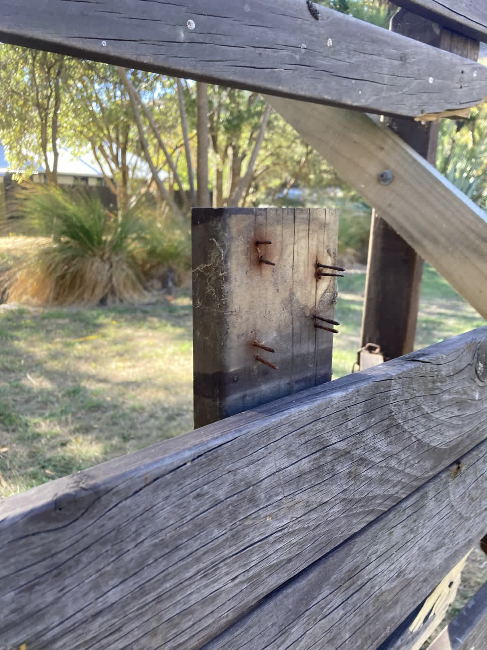 The photograph attached to this parks report