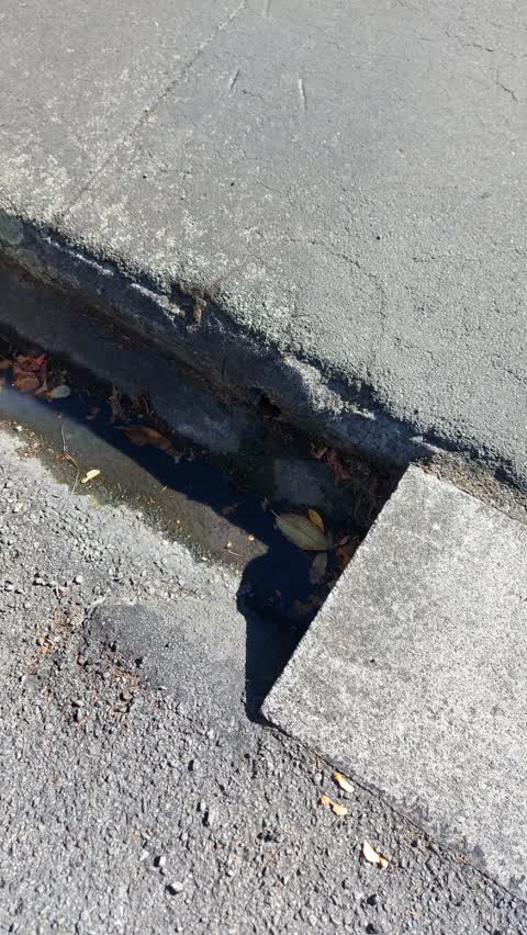 Water Leak, a report photo