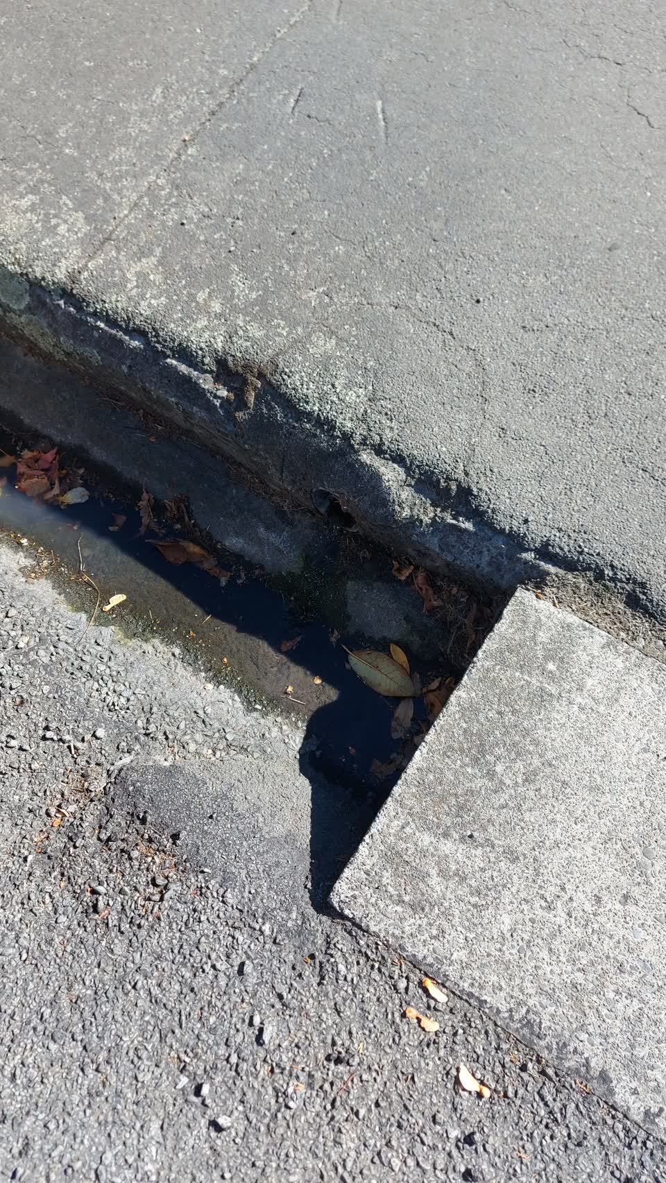 The photograph attached to this water leak report