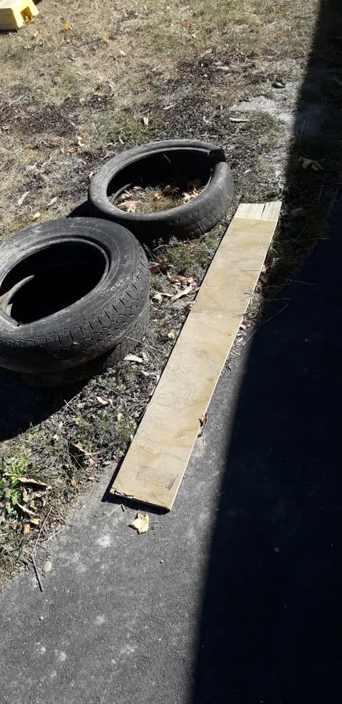 Rubbish/Recycling, a report photo