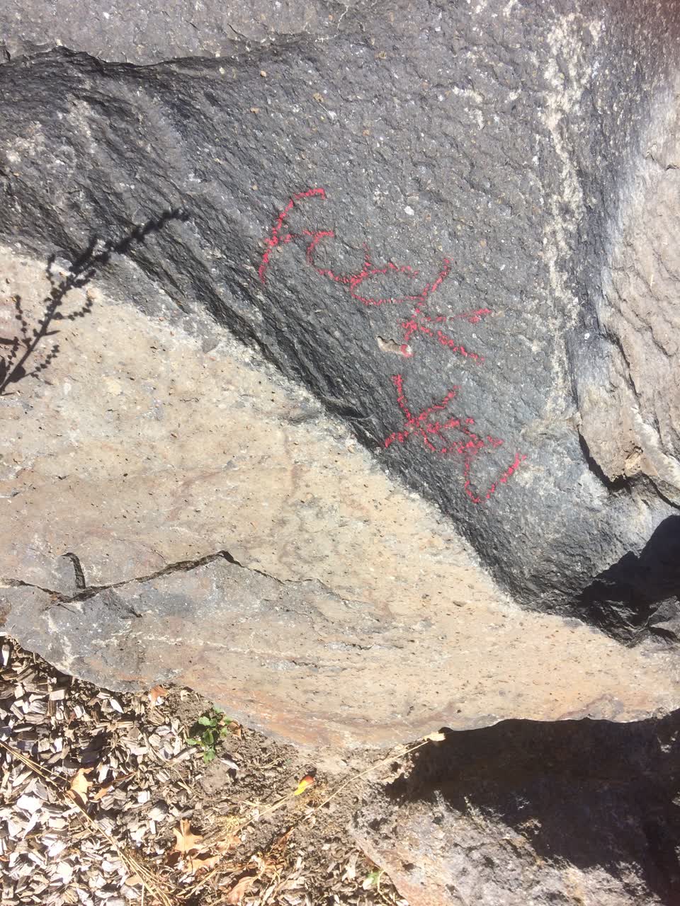 The photograph attached to this graffiti report