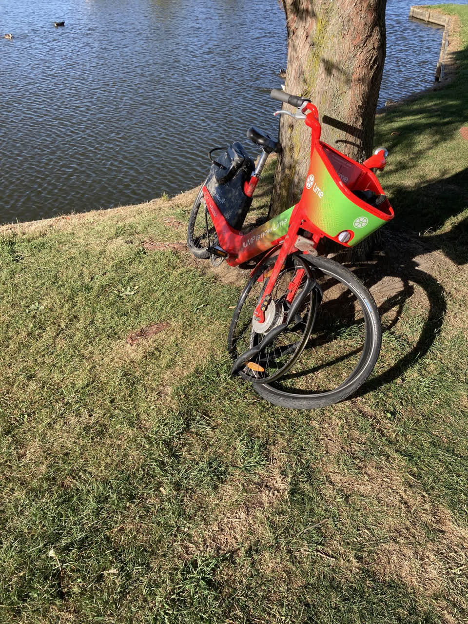 The photograph attached to this parks report