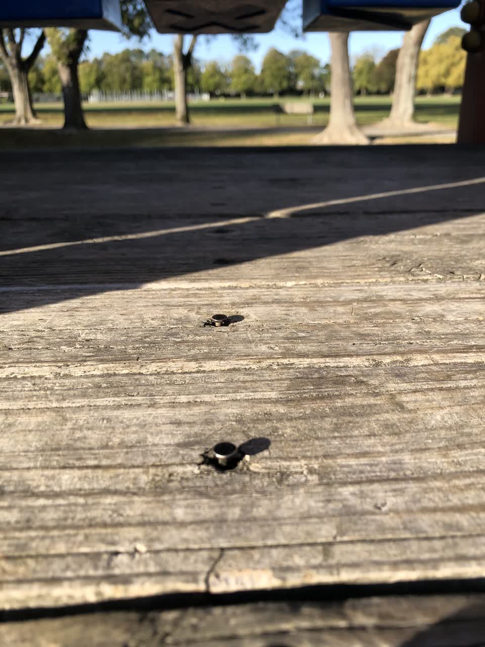 The photograph attached to this parks report