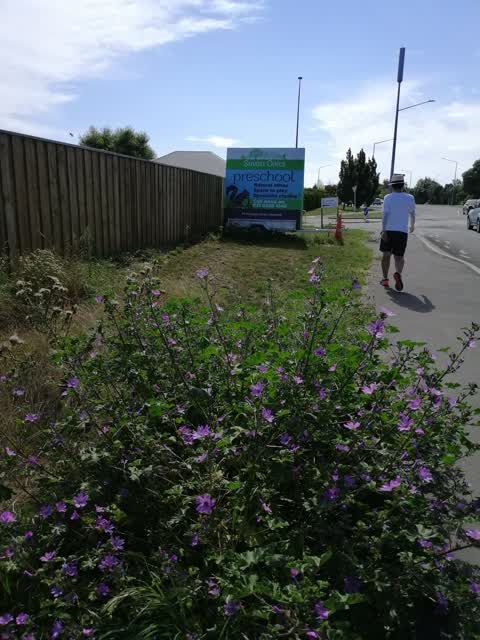 Roading/Streets, a report photo