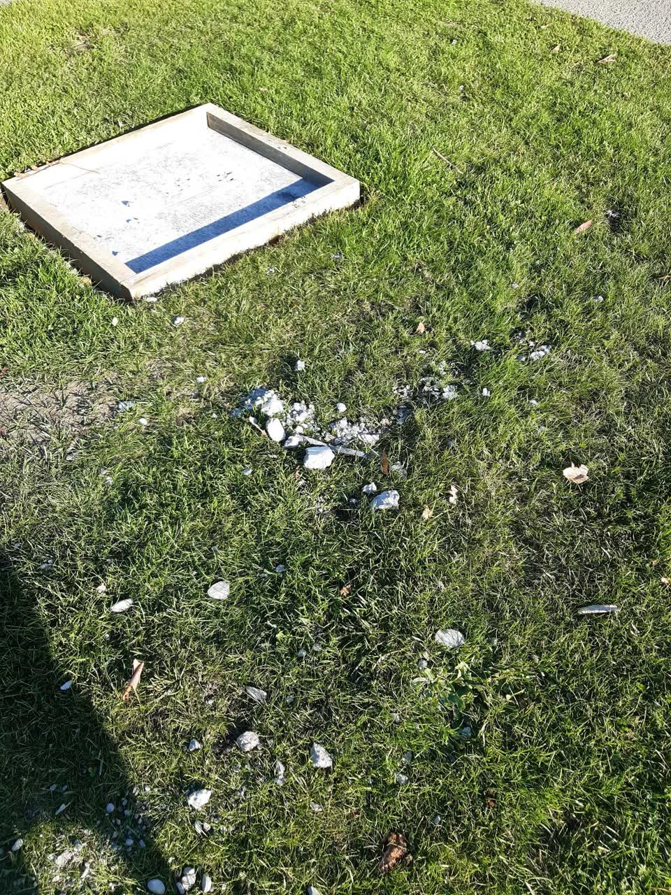 The photograph attached to this parks report