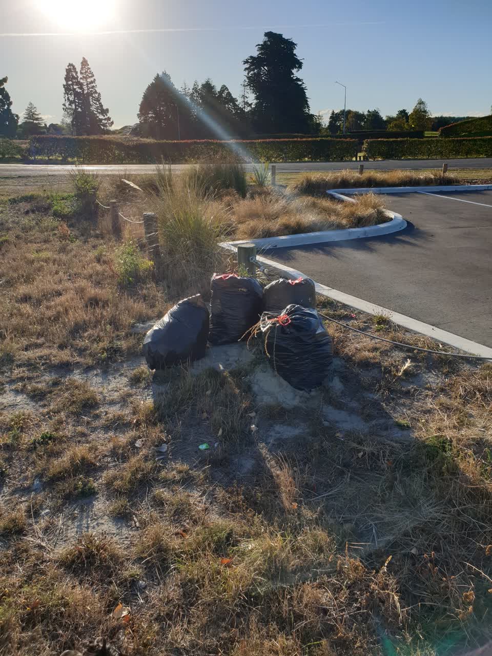 The photograph attached to this parks report