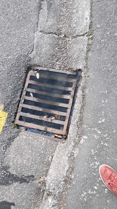 Wastewater/Stormwater, a report photo