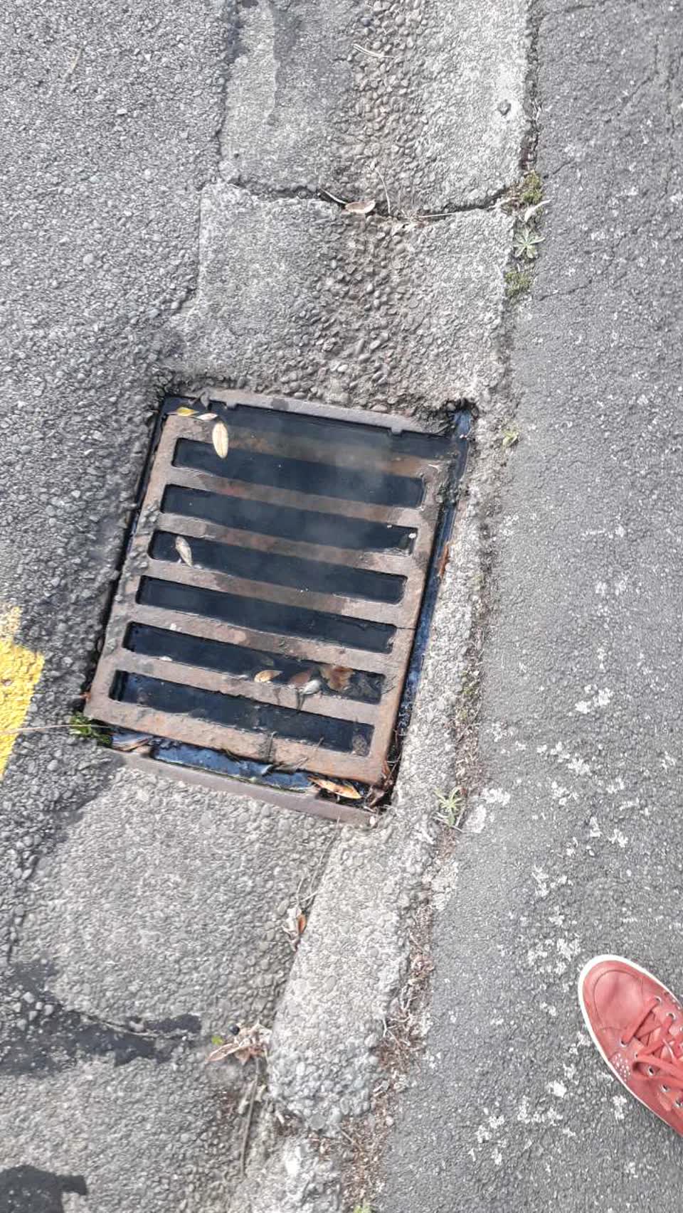 The photograph attached to this wastewater/stormwater report