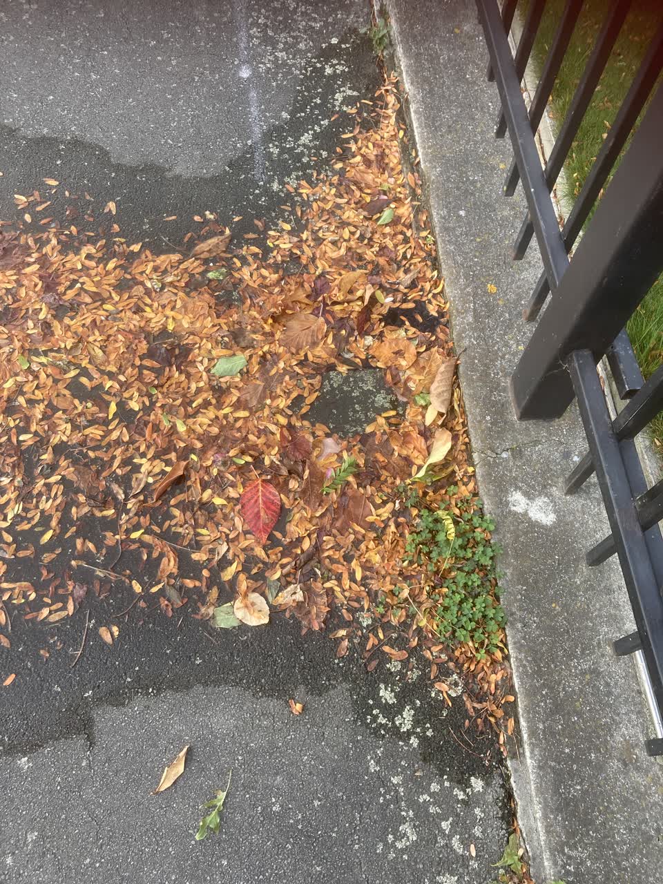 The photograph attached to this water leak report