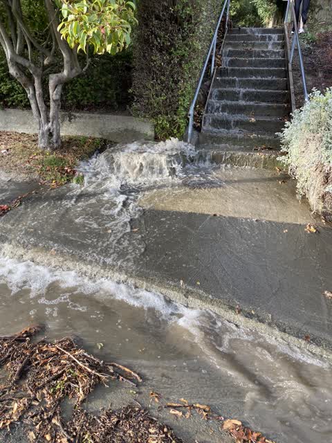 Water Leak, a report photo
