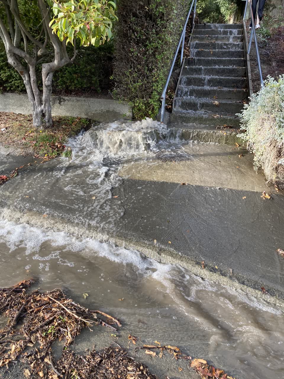 The photograph attached to this water leak report