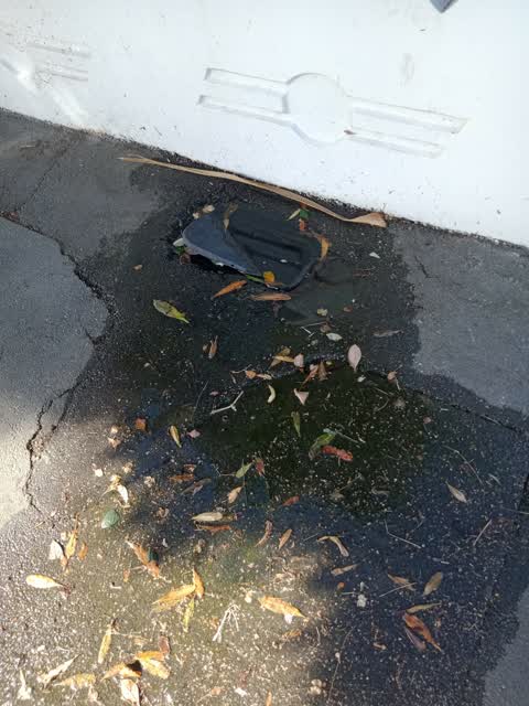 Water Leak, a report photo