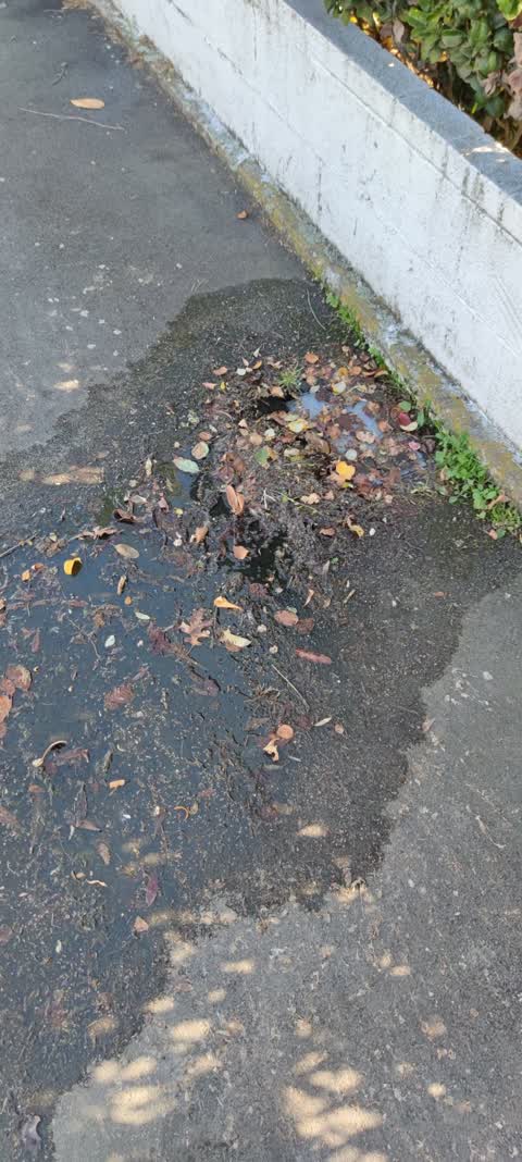 Water Leak, a report photo