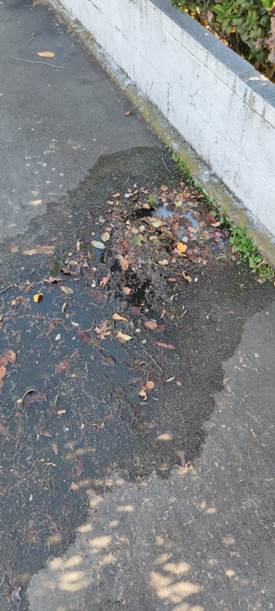 The photograph attached to this water leak report