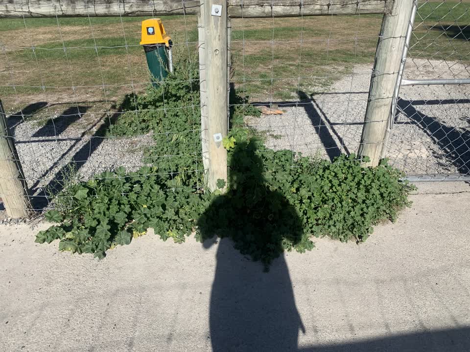 The photograph attached to this parks report