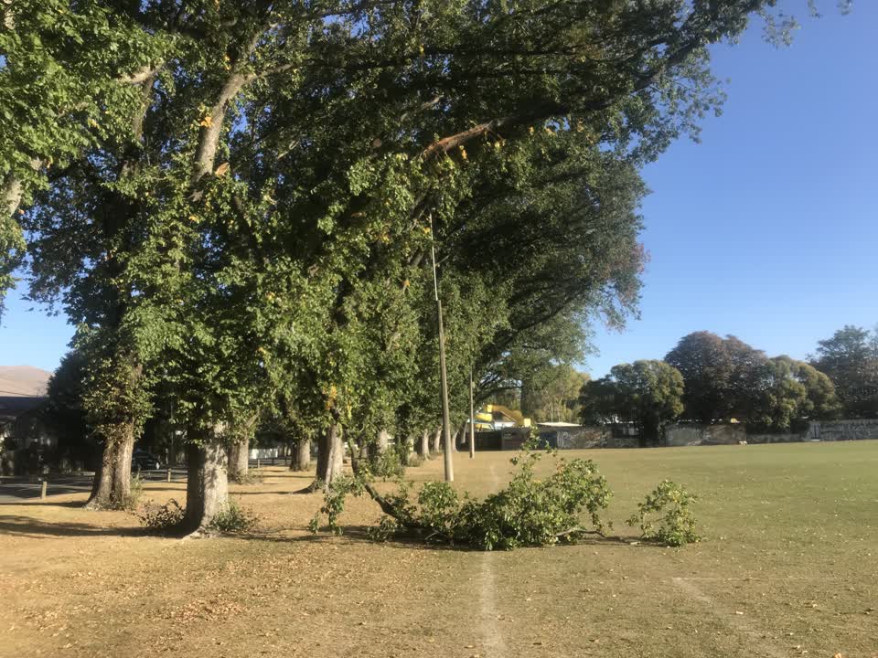 The photograph attached to this parks report