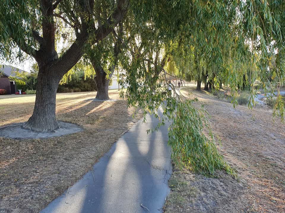 The photograph attached to this parks report