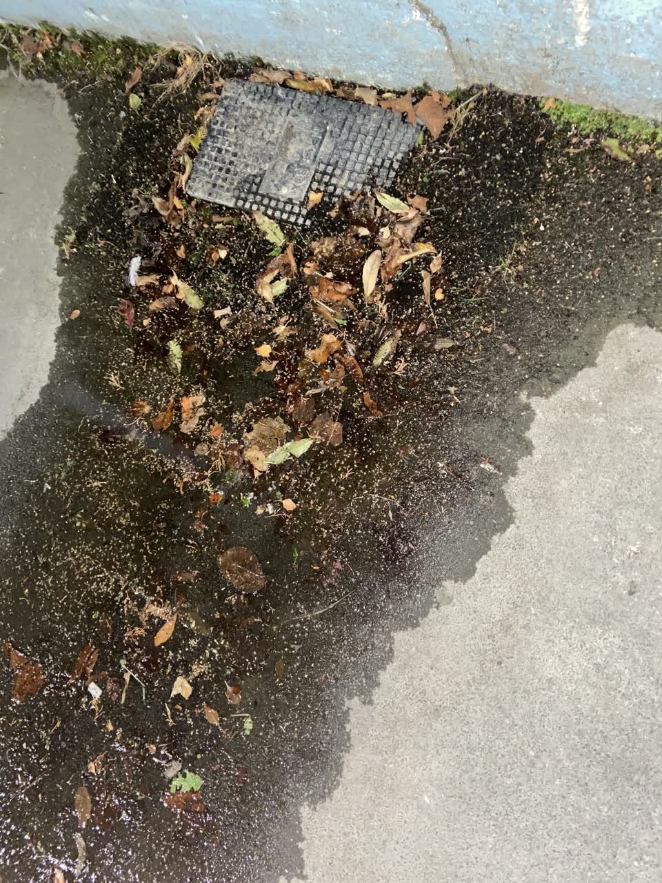 The photograph attached to this water leak report