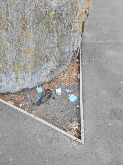 Rubbish/Recycling, a report photo