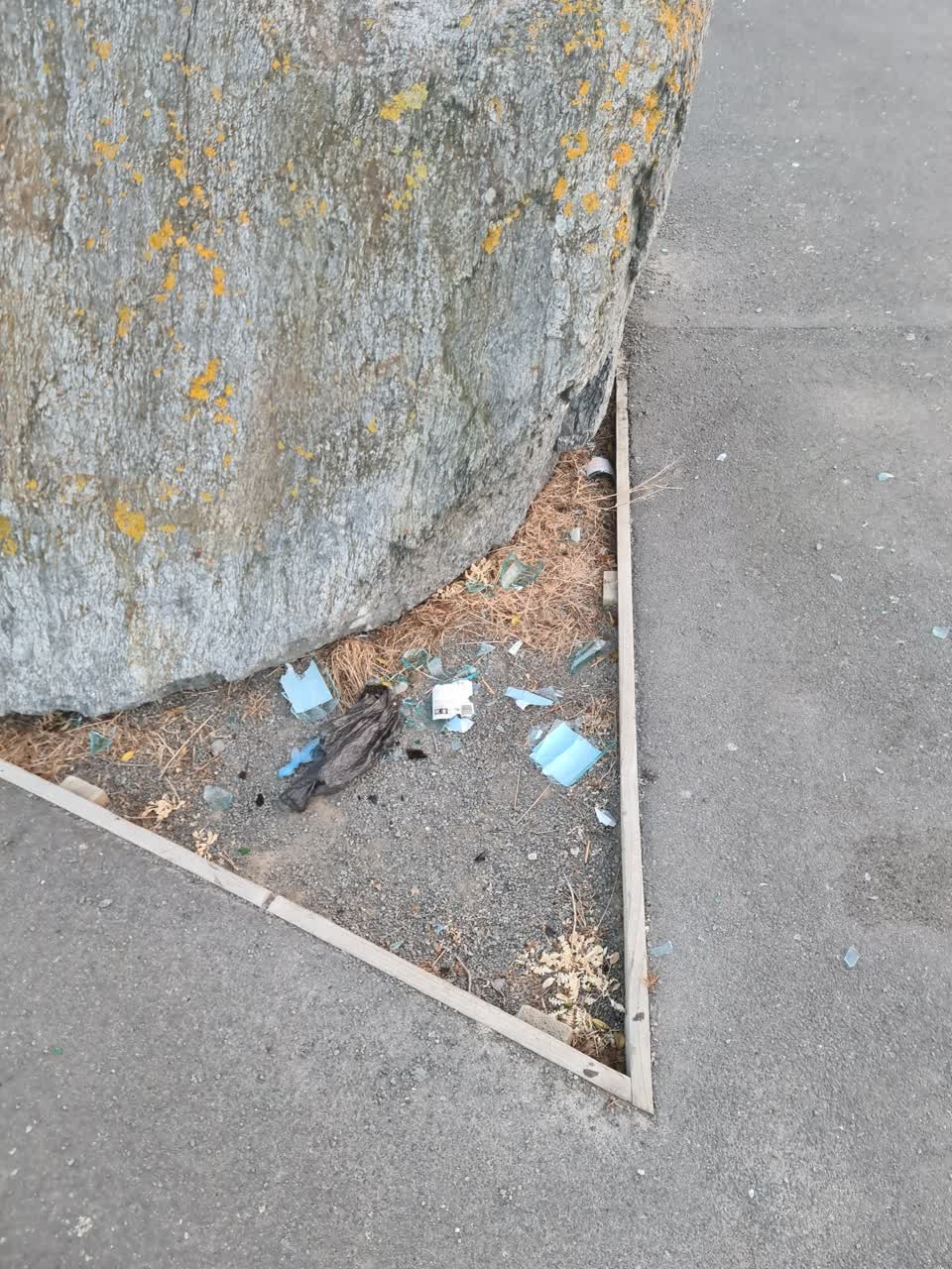The photograph attached to this rubbish/recycling report