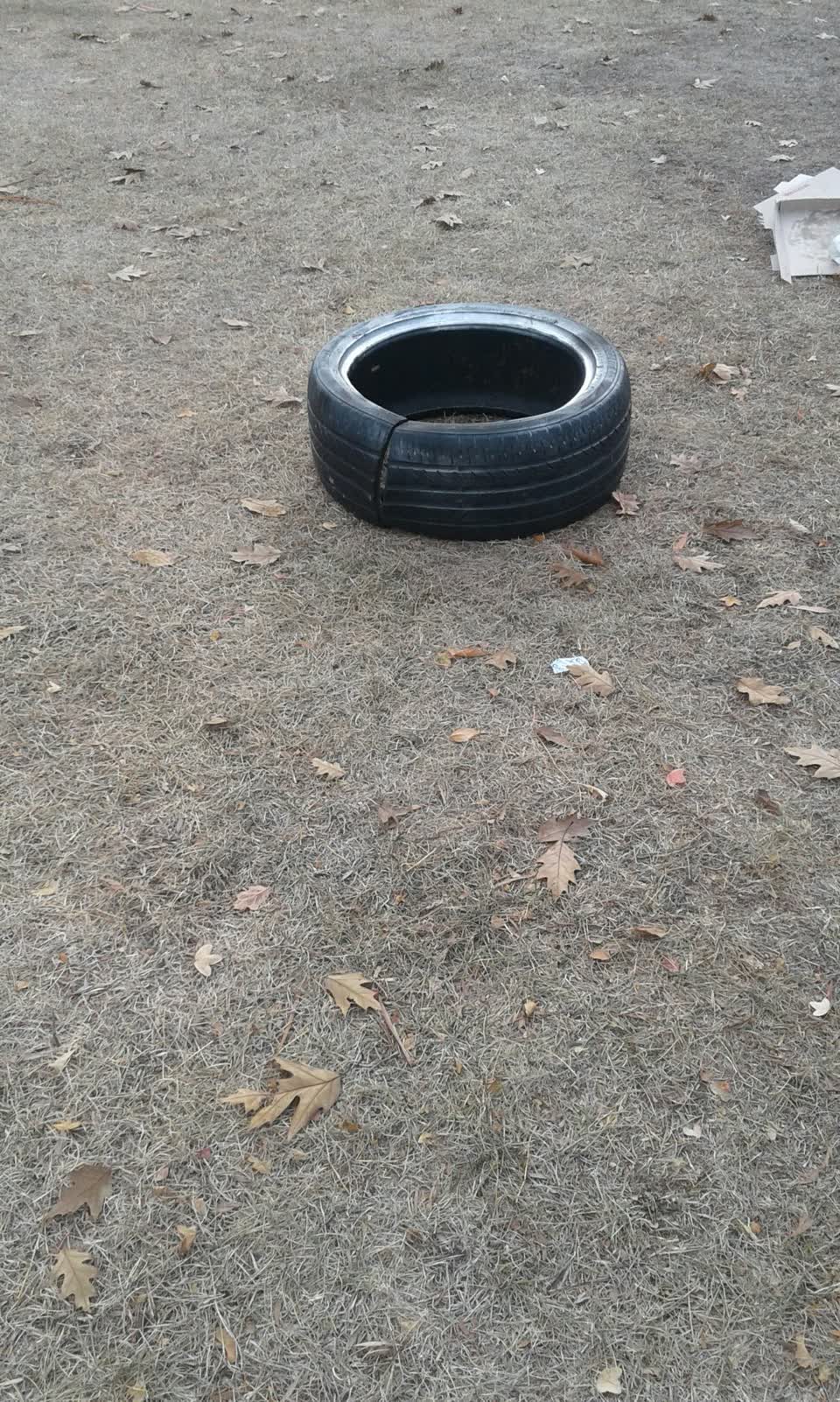 The photograph attached to this parks report