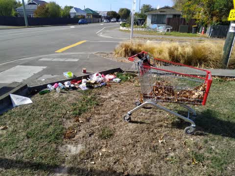 Rubbish/Recycling — a report photo