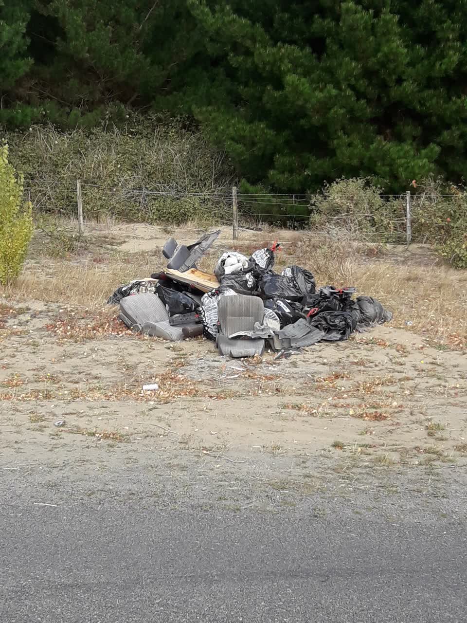 The photograph attached to this parks report
