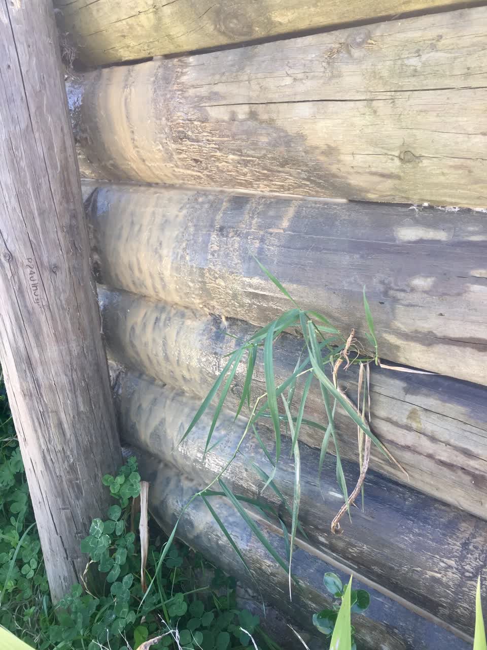 The photograph attached to this water leak report