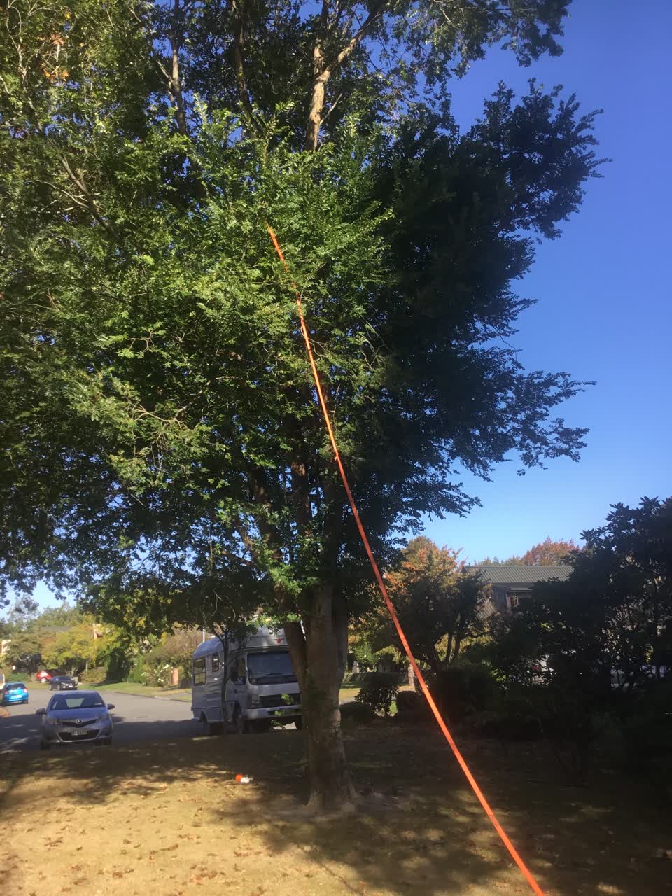 The photograph attached to this parks report