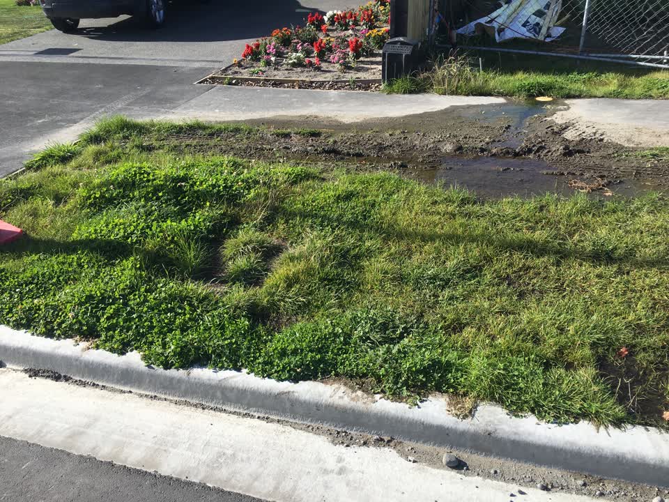 The photograph attached to this water leak report