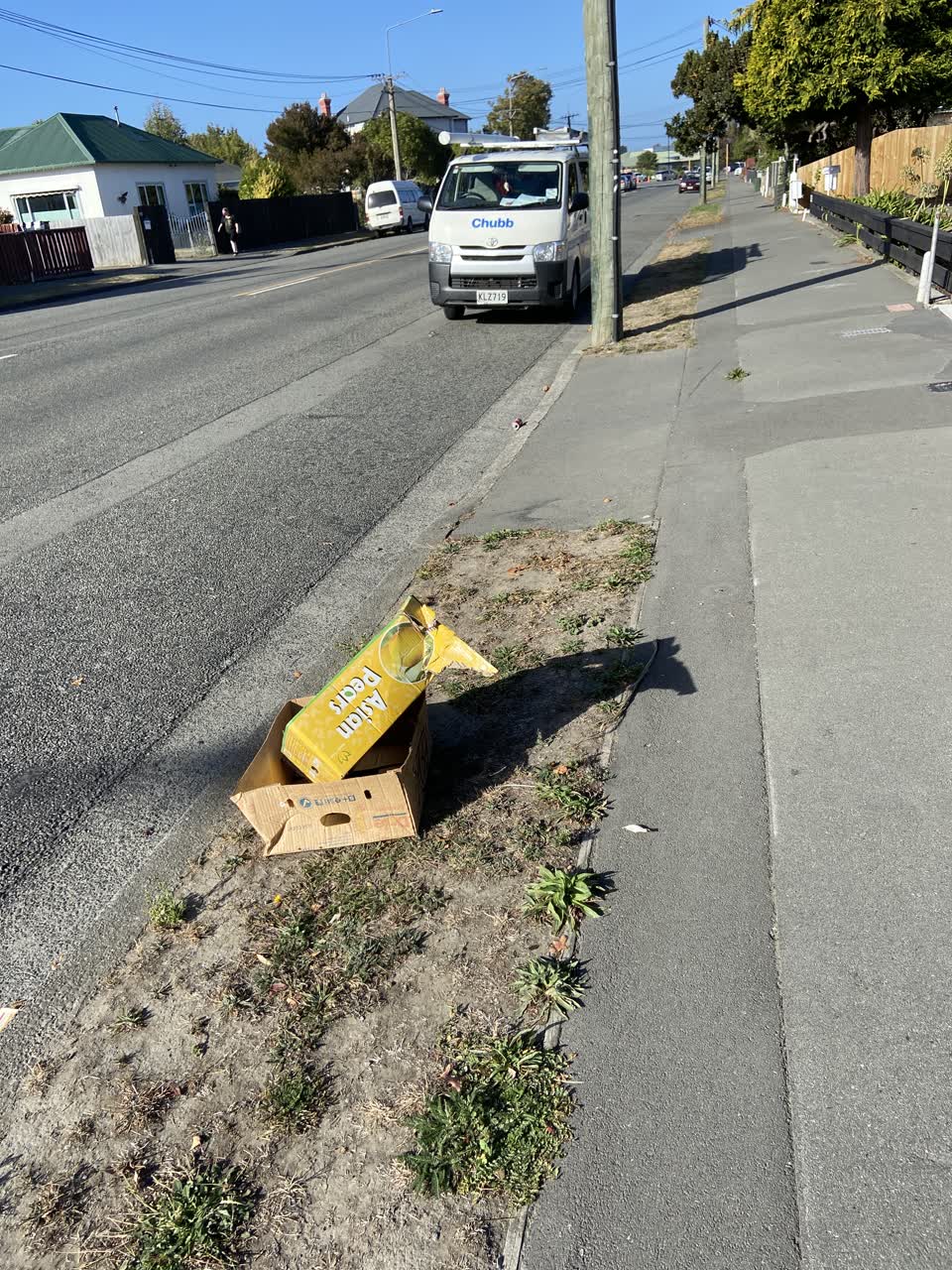The photograph attached to this rubbish/recycling report