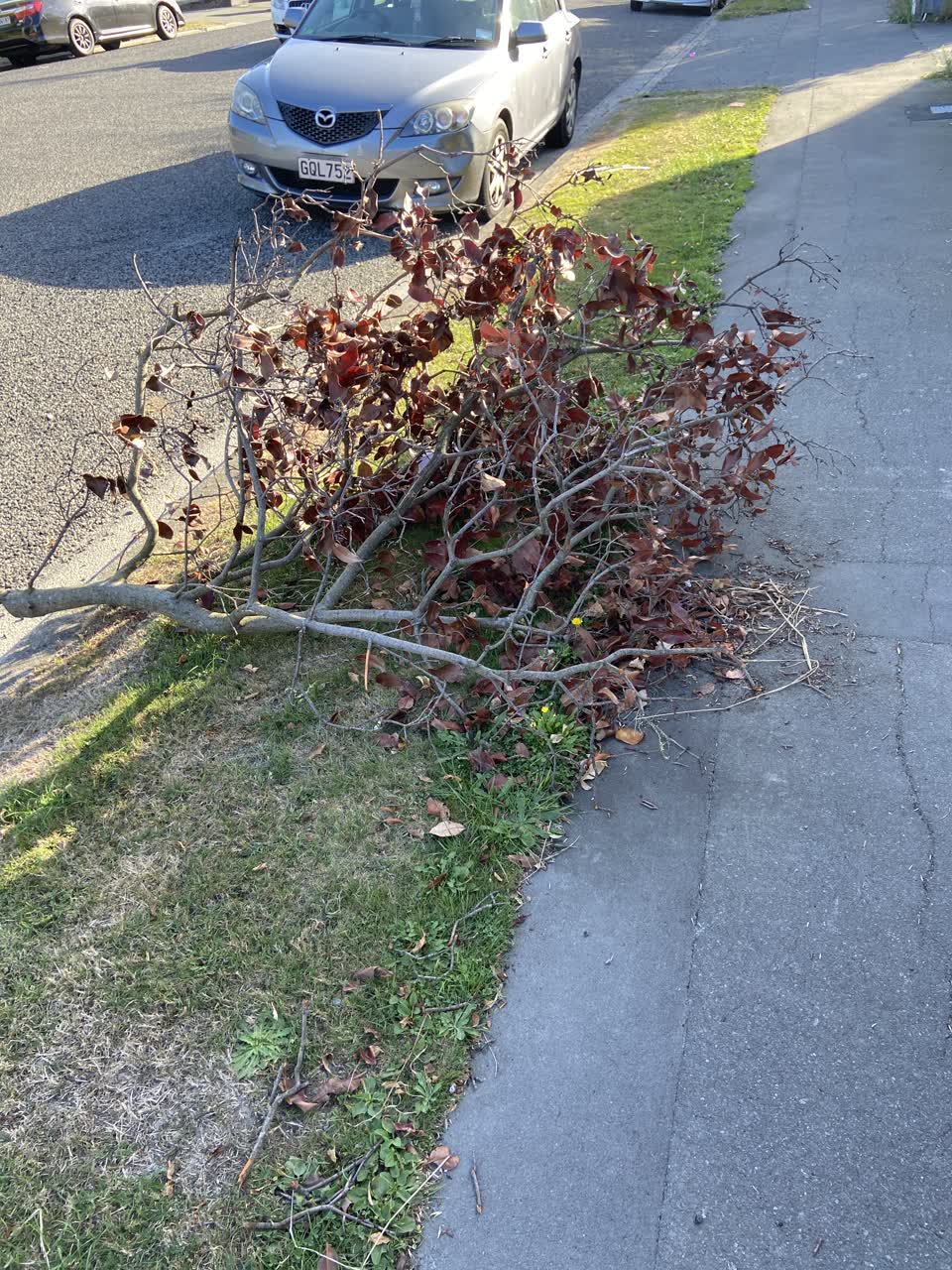 The photograph attached to this rubbish/recycling report