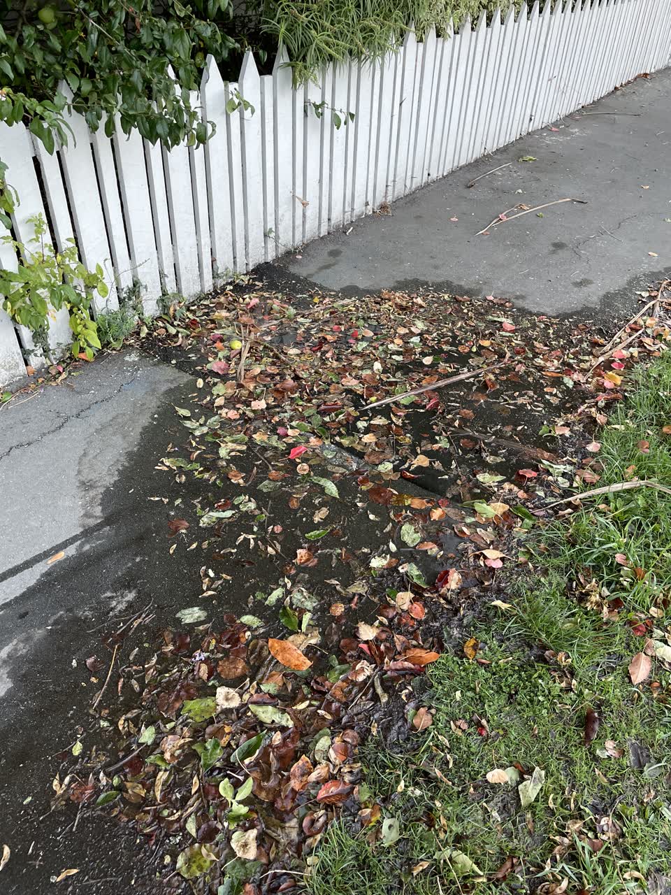 The photograph attached to this water leak report