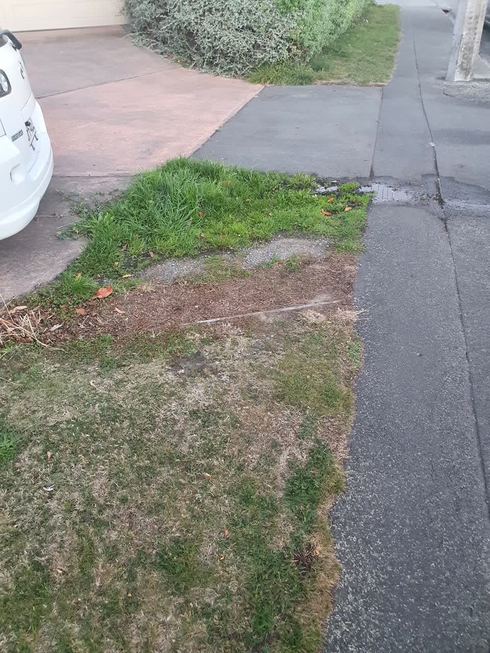 The photograph attached to this water supply report