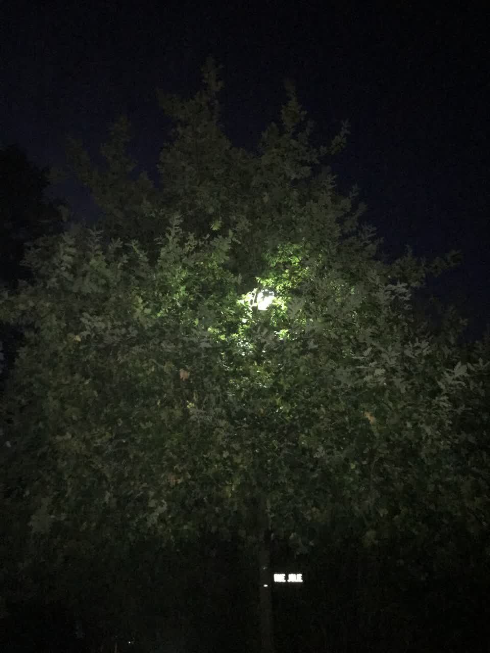 The photograph attached to this street light outage report