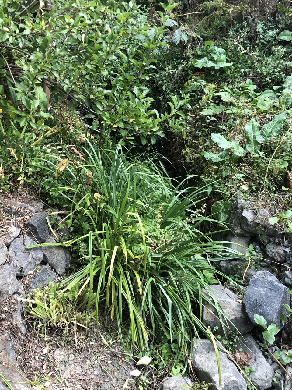 The photograph attached to this wastewater/stormwater report